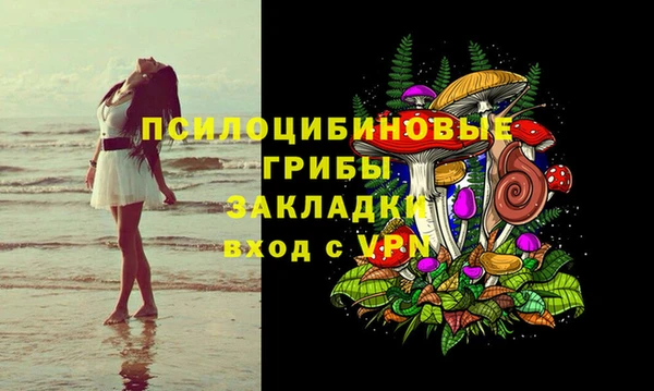apvp Алзамай