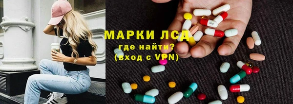apvp Алзамай